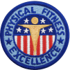 fitness patch